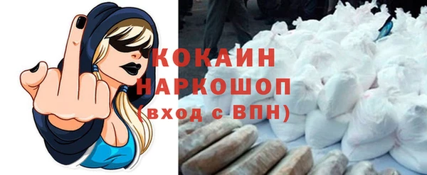 сатива Нягань