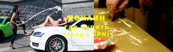 сатива Нягань