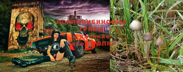 кокаин Новозыбков