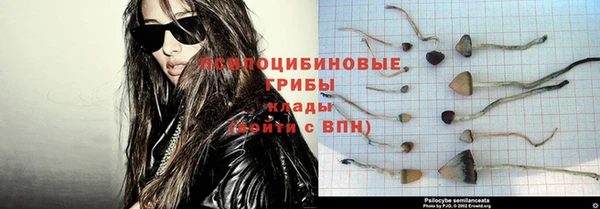 сатива Нягань