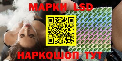 стафф Донецк