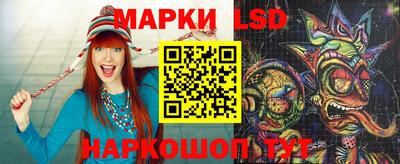 стафф Донецк