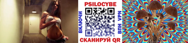 Псилоцибиновые грибы Psilocybe  MEGA сайт  Барабинск 