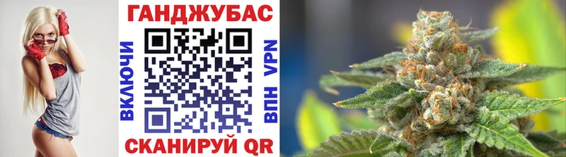 Каннабис сатива Барабинск